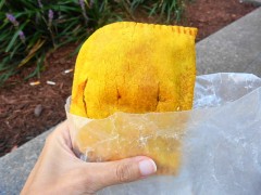 sunrise grill patty