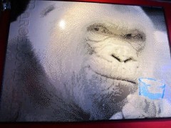 barcelona bar gorilla